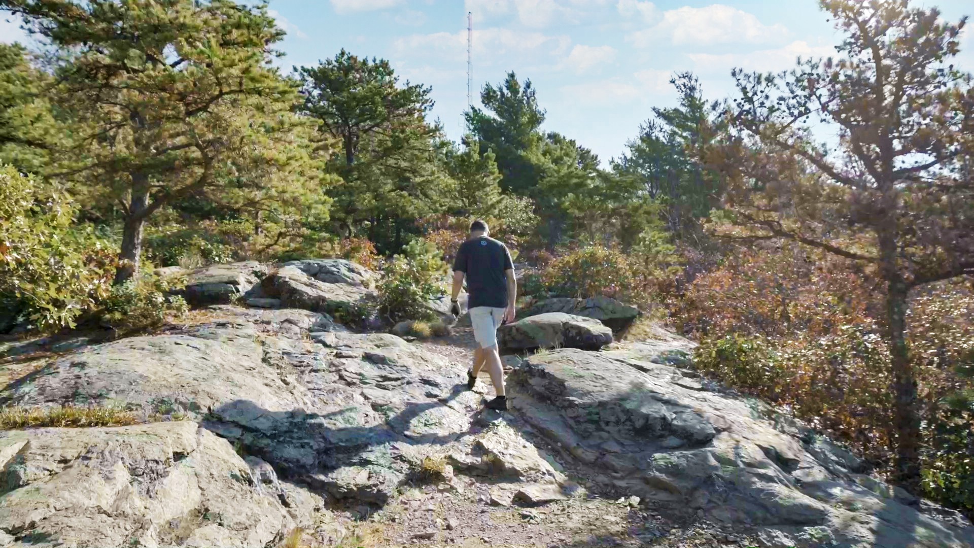 Blue Hills Reservation